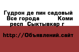 Гудрон де пин садовый - Все города  »    . Коми респ.,Сыктывкар г.